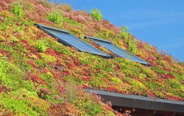 Chatford living roof systems